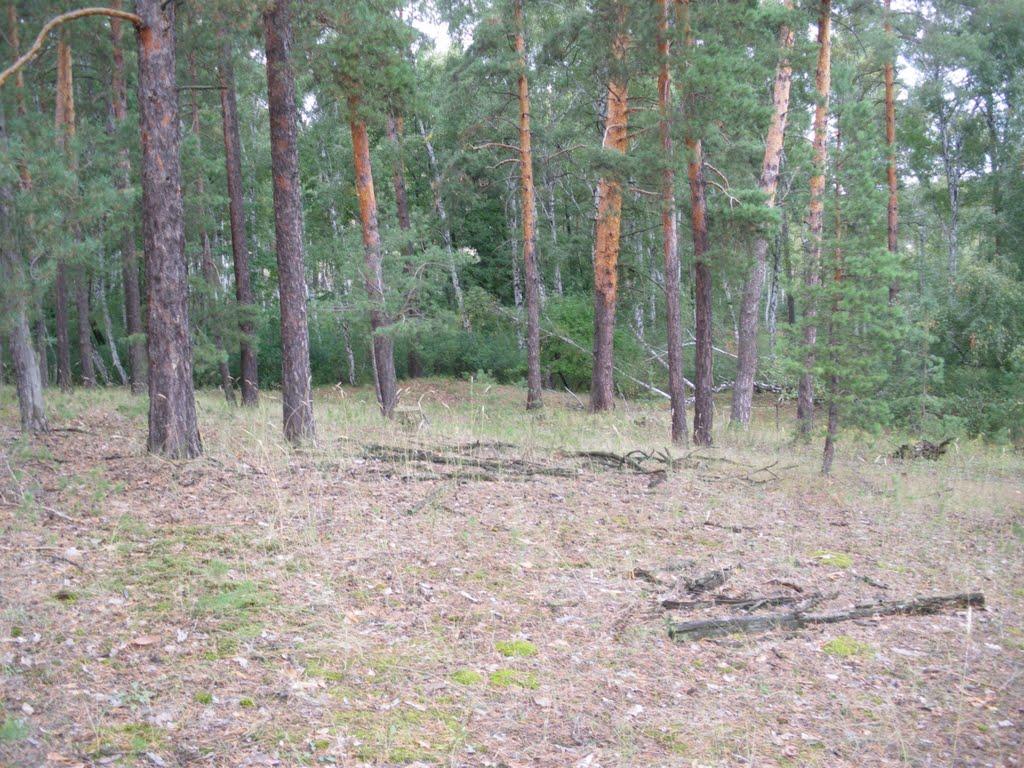 Яцьківка з panoramio.com - Яцьківка