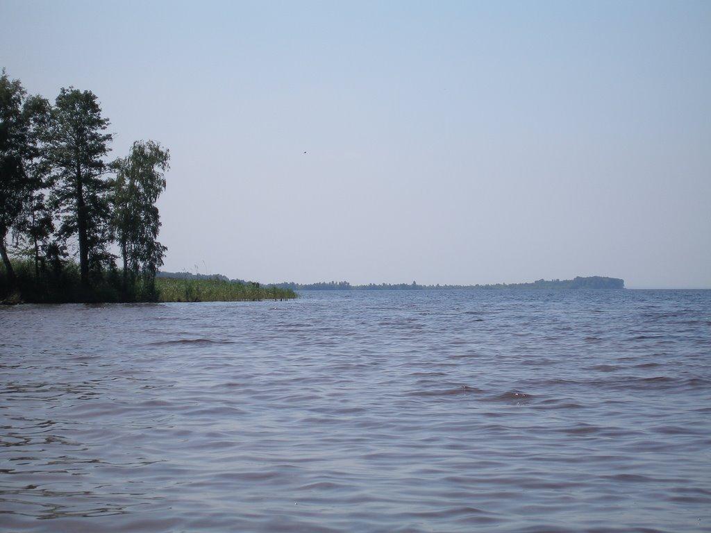 Ровжі з panoramio.com - Ровжи