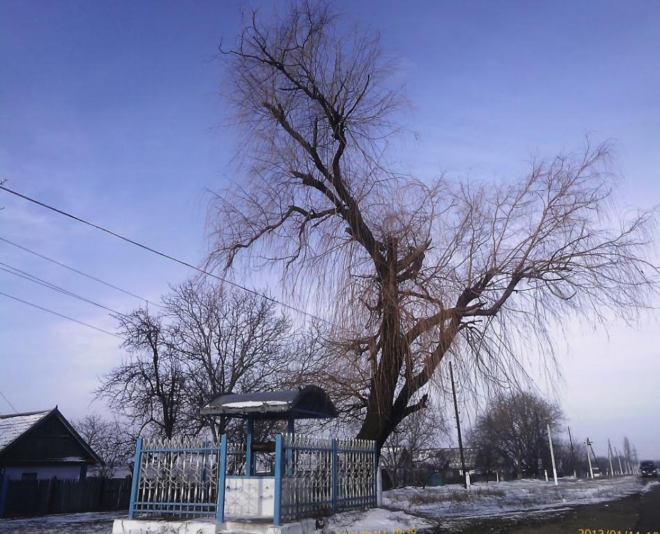 Гребеники з panoramio.com - Гребеники