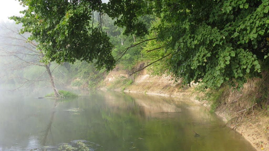 Дуби з panoramio.com - Дуби