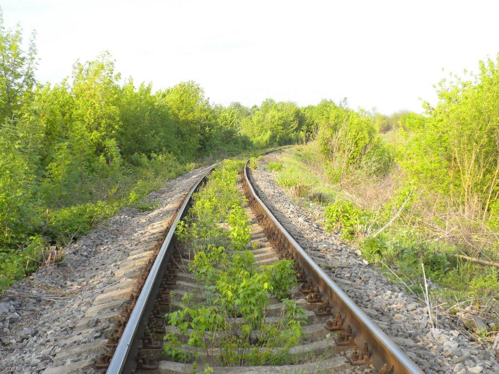 Горби з panoramio.com - Горби