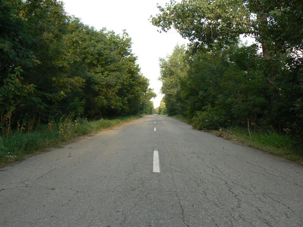 Кобильне з panoramio.com - Кобильне