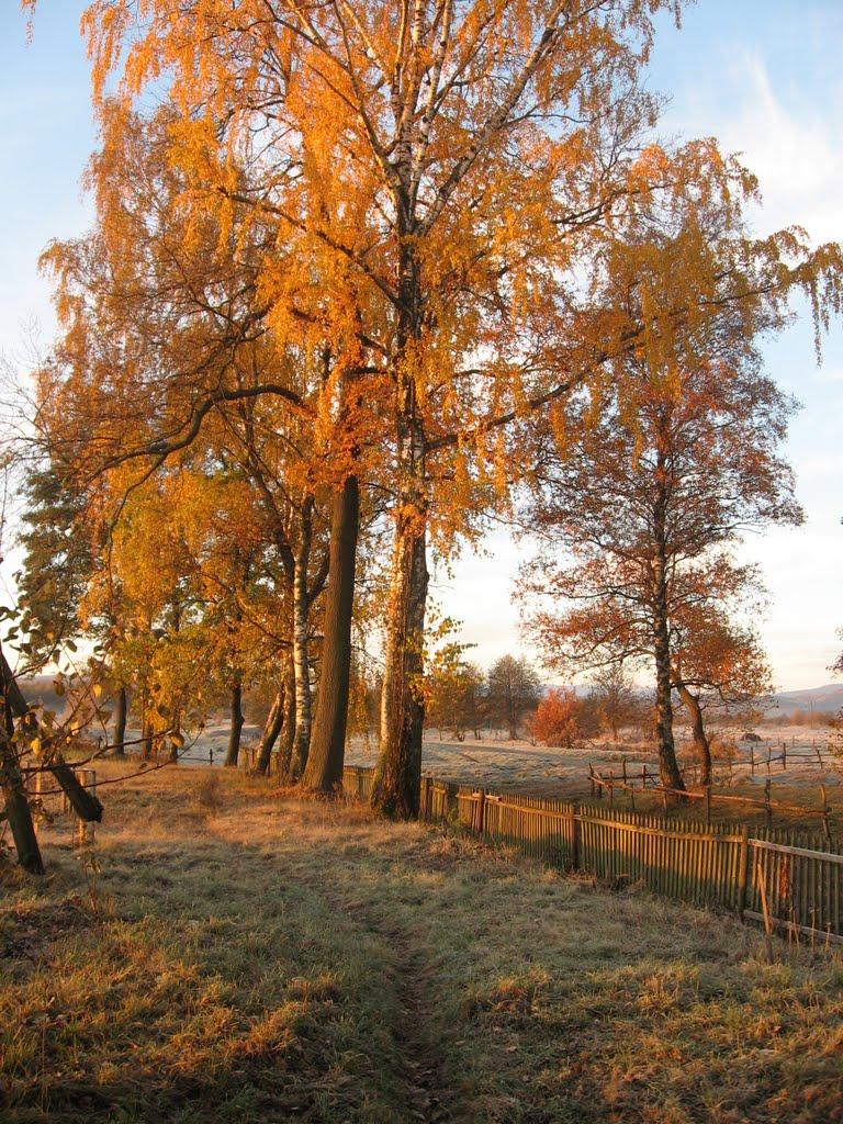 Нижній Струтинь з panoramio.com - Нижний Струтинь