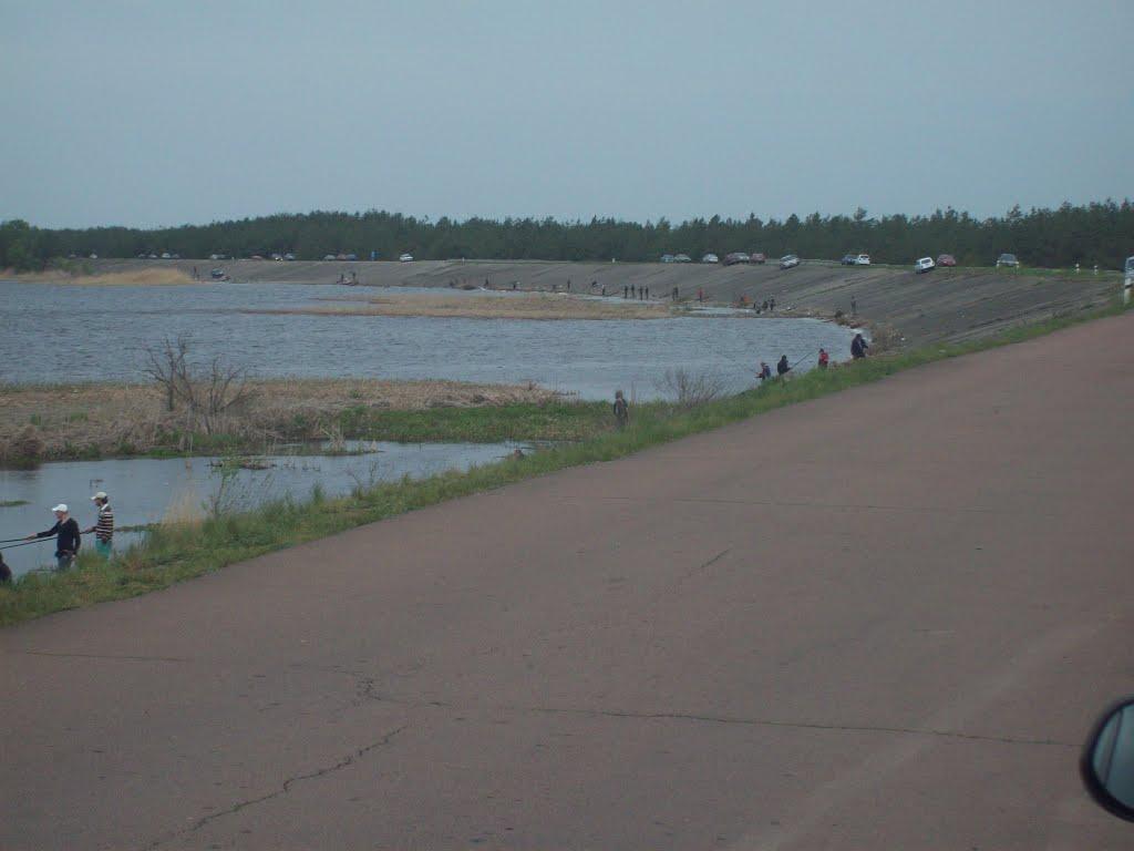 Халеп'я з panoramio.com - Халеп'я