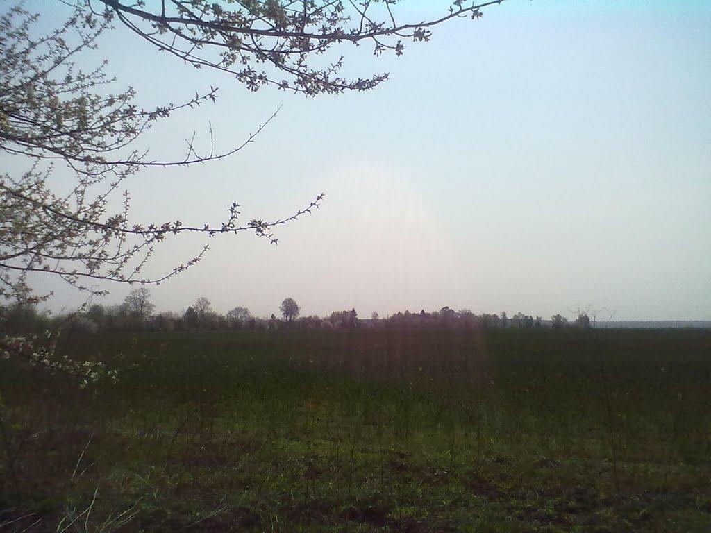 Пильки з panoramio.com - Пильки