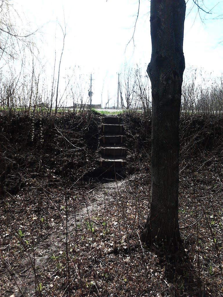 Глеваха з panoramio.com - Глеваха