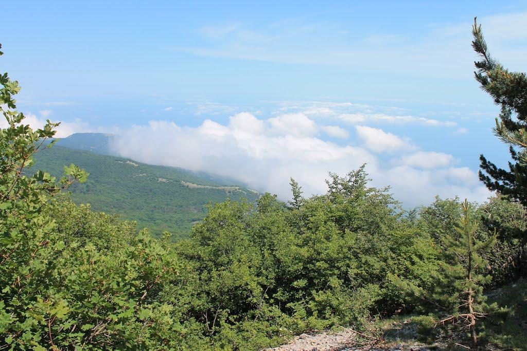 Запрудне з panoramio.com - Запрудне