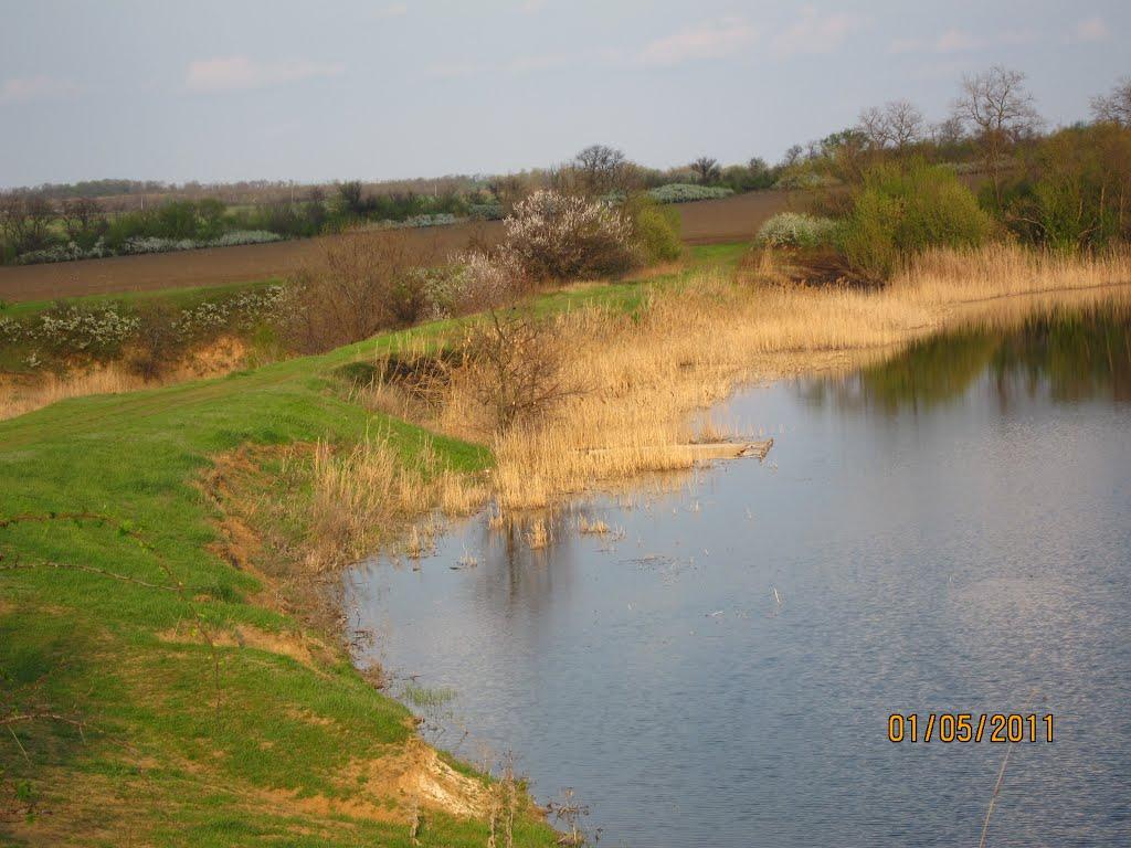 Богданівка з panoramio.com - Богданівка
