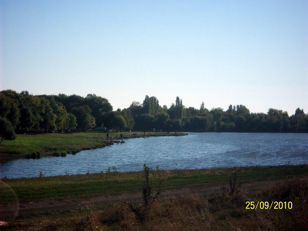 Тельманове з panoramio.com - Тельманове