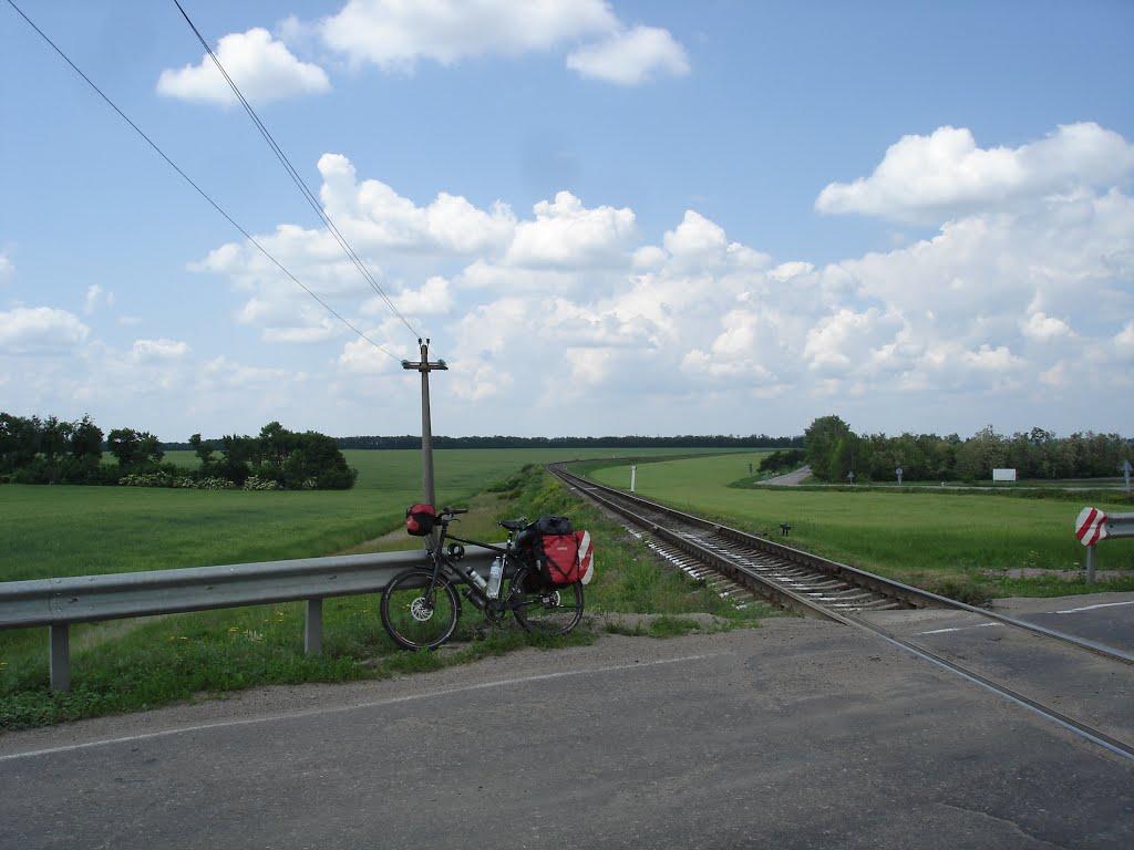 Мічуріне з panoramio.com - Michurine