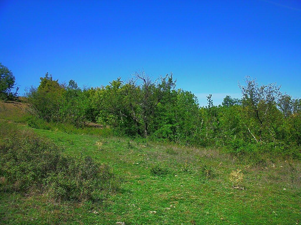 Нагірне з panoramio.com - Нагорное