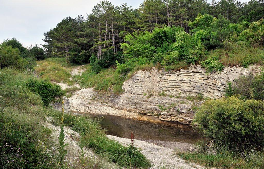 Кудрине з panoramio.com - Кудрино