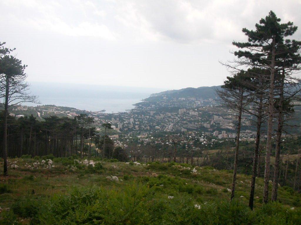 Совєтське з panoramio.com (ч.2) - Советское