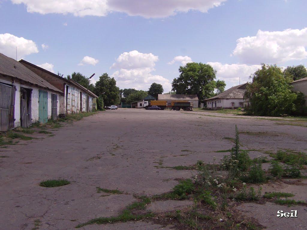 Покровське з panoramio.com - Покровське