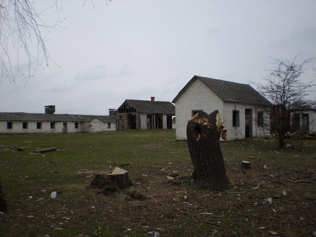 Козлин з panoramio.com - Козлин