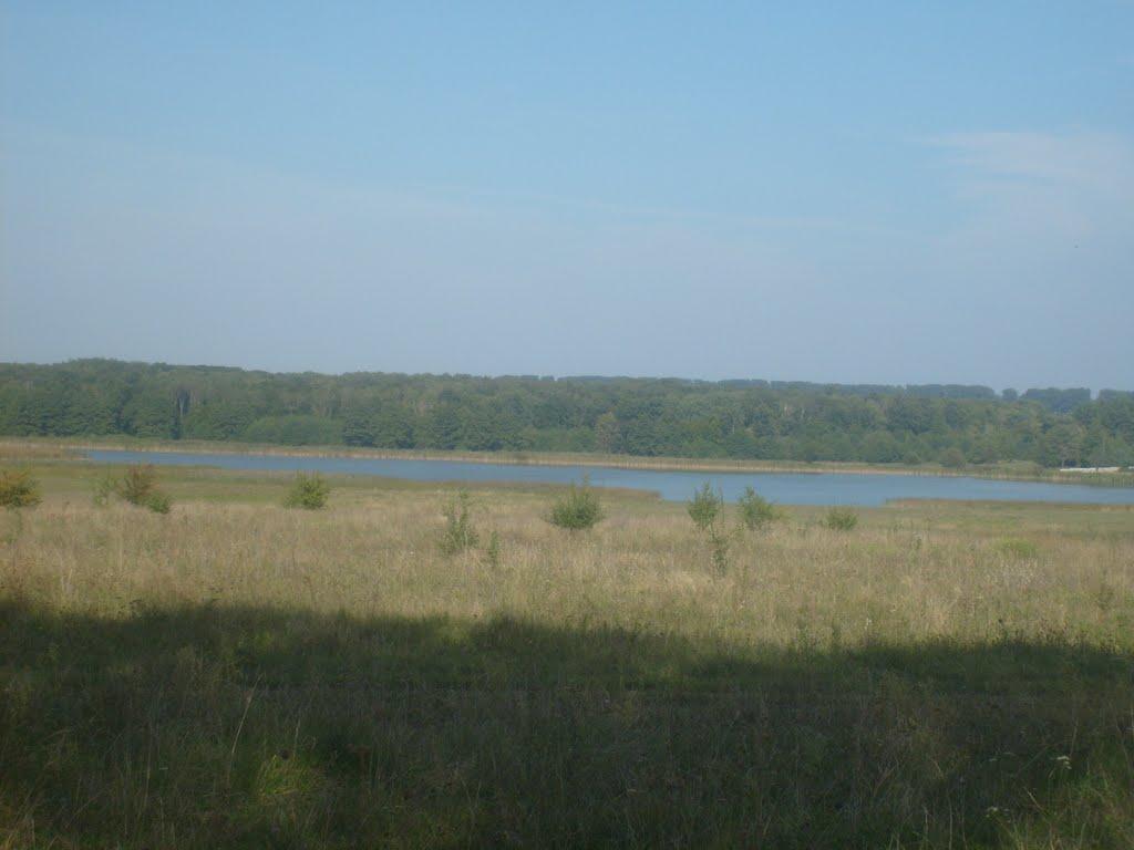 Польова Лисіївка з panoramio.com - Польова Лисіївка