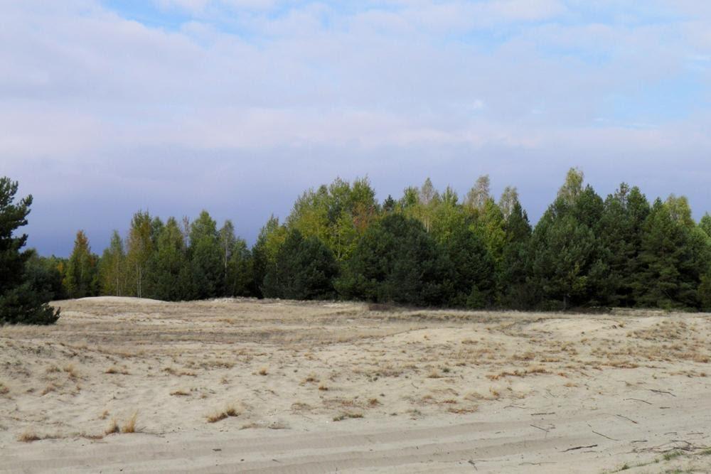 Млин з panoramio.com - Млын