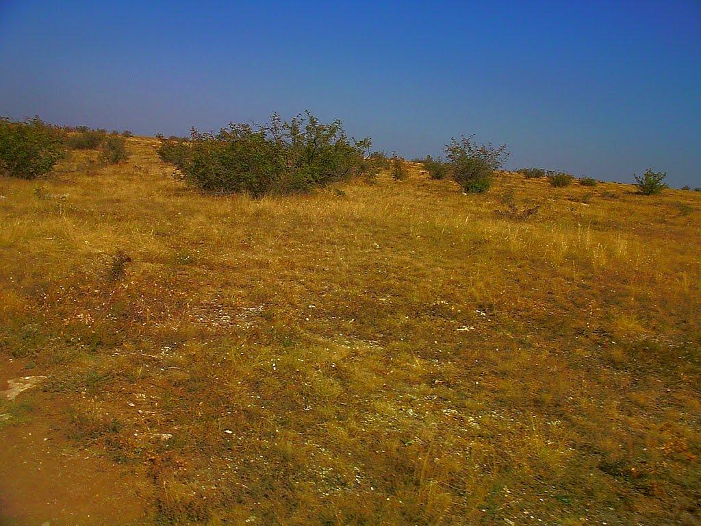 Кочергіне з panoramio.com - Кочергино