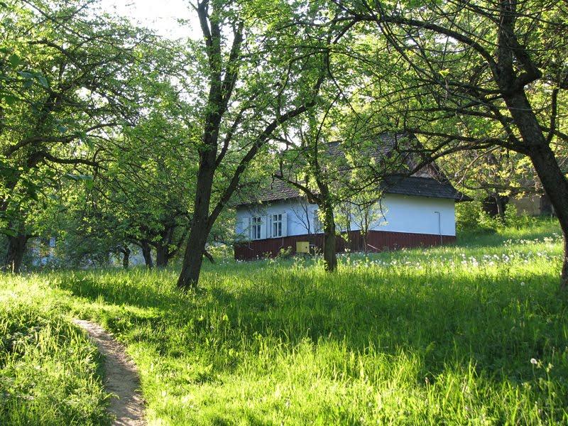 Баня-Березів з panoramio.com - Баня-Березов
