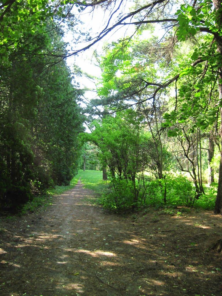 Бабичівка з panoramio.com - Бабичівка