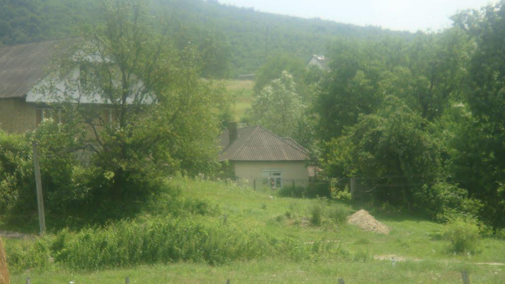 Свалява з panoramio.com - Свалява