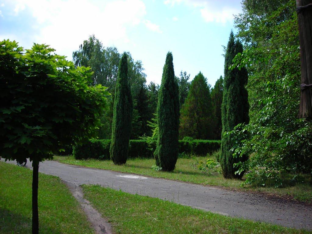 Васютинці з panoramio.com - Васютинцы