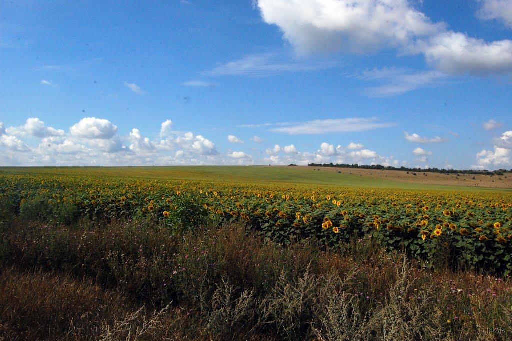 Серебрянка з panoramio.com - Серебрянка