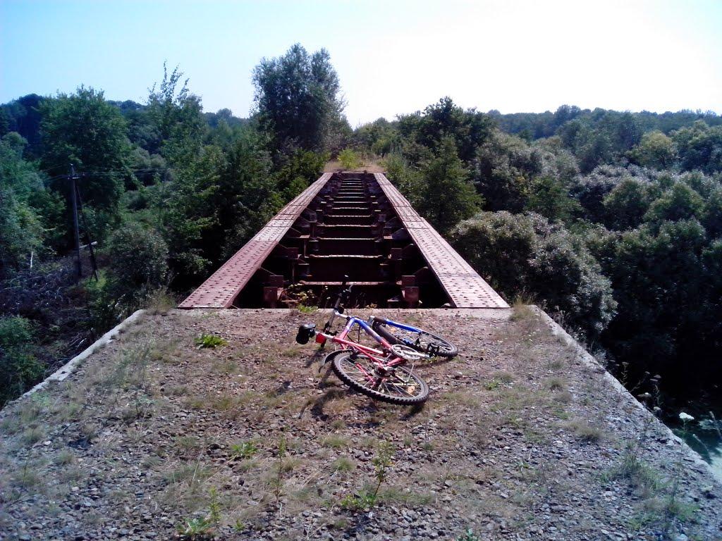 Польова Лисіївка з panoramio.com - Польова Лисіївка