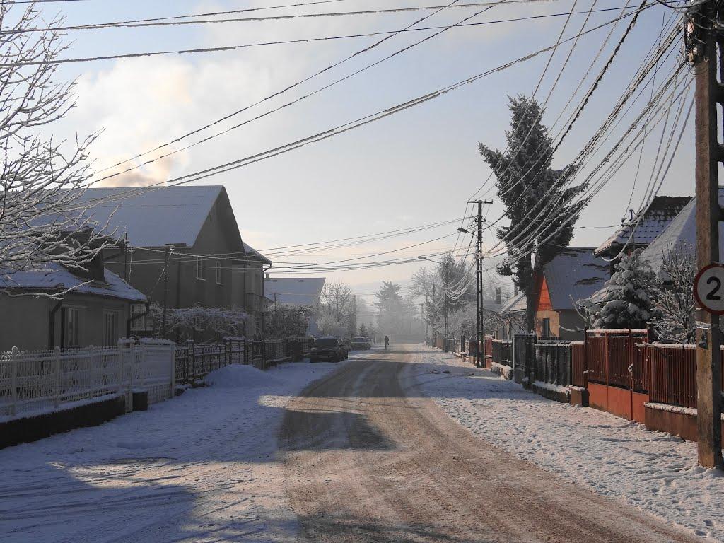 Великий Бичків з panoramio.com - Великий Бичків