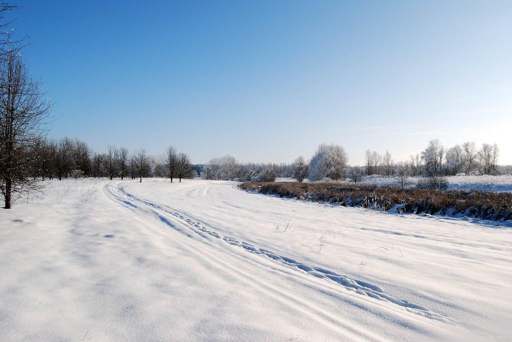 Приліпка з panoramio.com - Прилипка