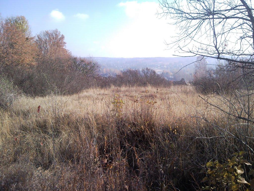 Григорівка з panoramio.com - Григорівка