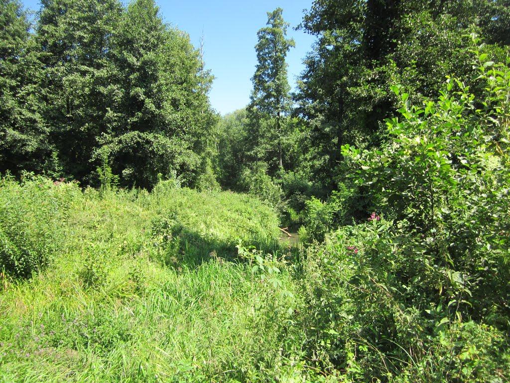 Старосілля з panoramio.com - Старосілля