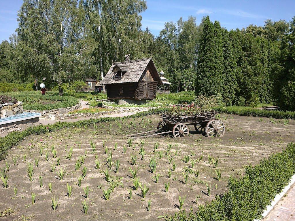 Ямпіль з panoramio.com - Ямпіль