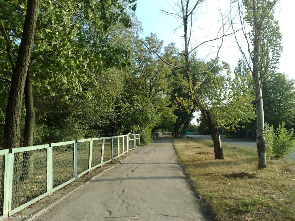 Токмак з panoramio.com - Токмак