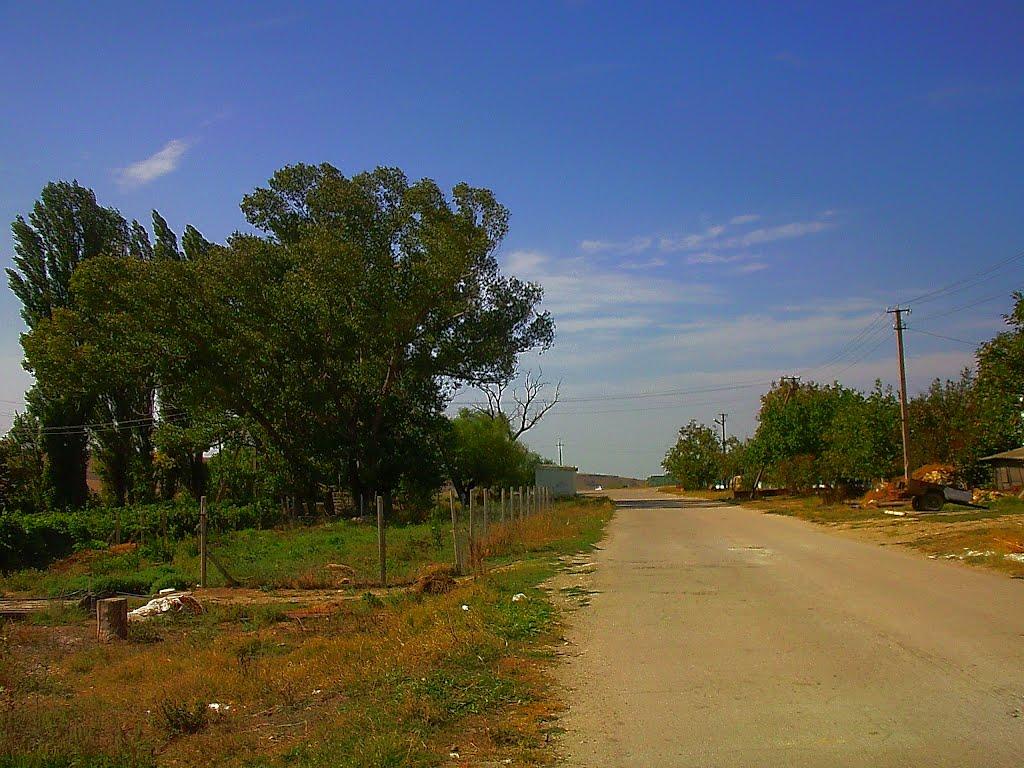 Кочергіне з panoramio.com - Кочергино