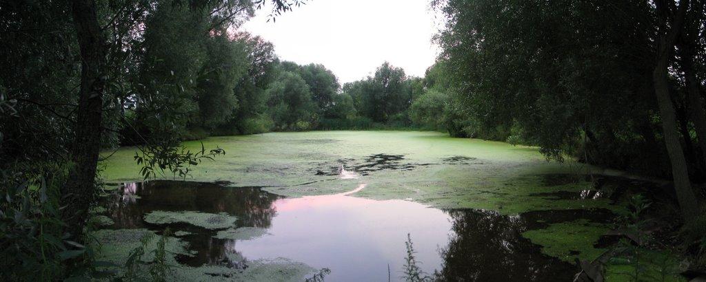 Велика Павлівка з panoramio.com - Велика Павлівка