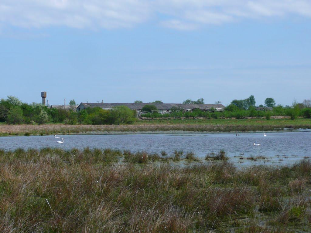 Полиці з panoramio.com - Полиці