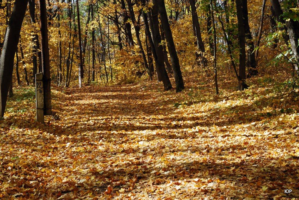 Шарівка з panoramio.com - Шарівка