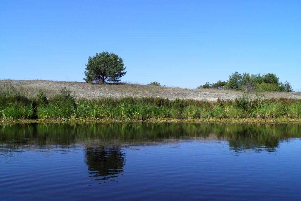 Млин з panoramio.com - Млын