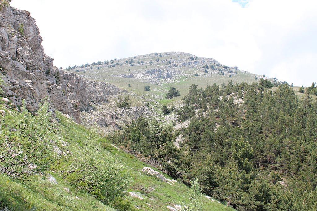 Запрудне з panoramio.com - Запрудне