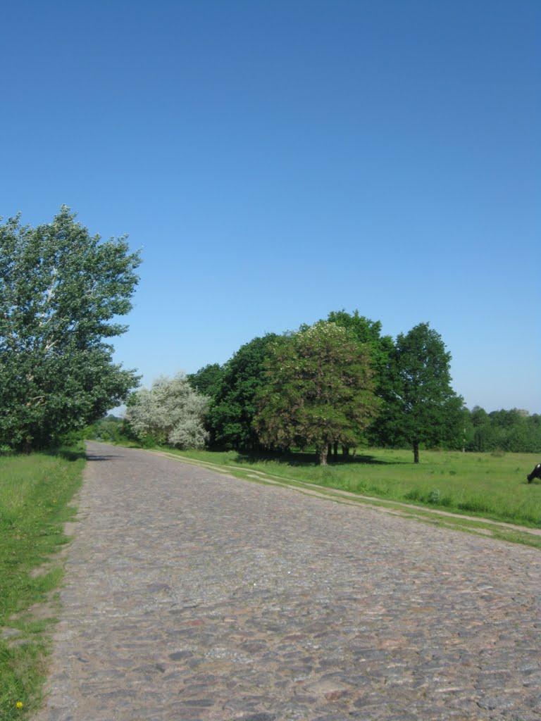 Криве з panoramio.com - Криве