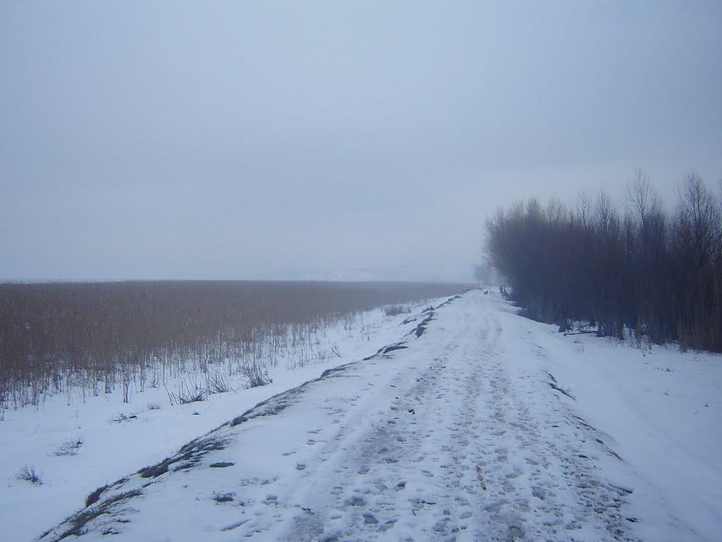 Орлівка з panoramio.com - Orlivka