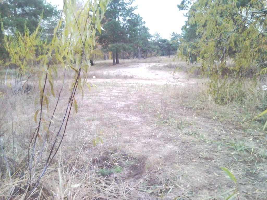 Ровжі з panoramio.com - Ровжи