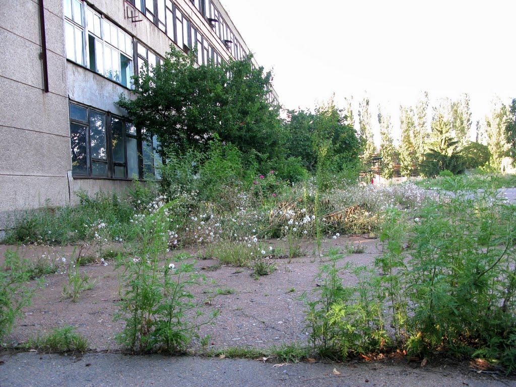 Іллічівка з panoramio.com - Іллічівка