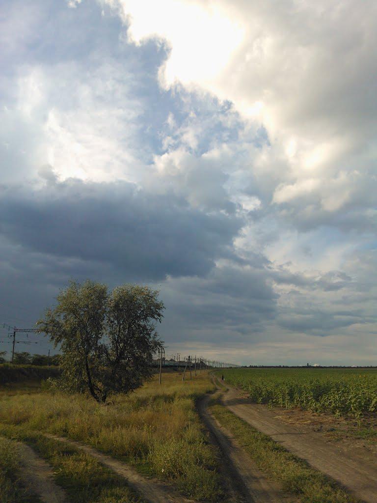 Іллічівка з panoramio.com - Іллічівка