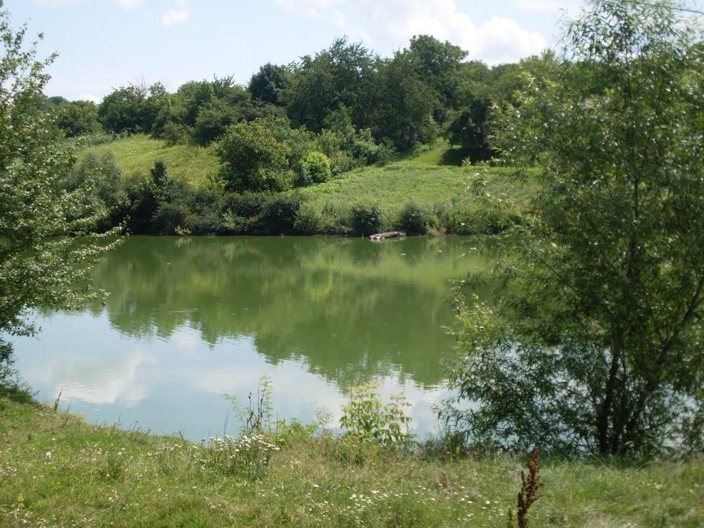 Ладижинські Хутори з panoramio.com - Ладижинські Хутори