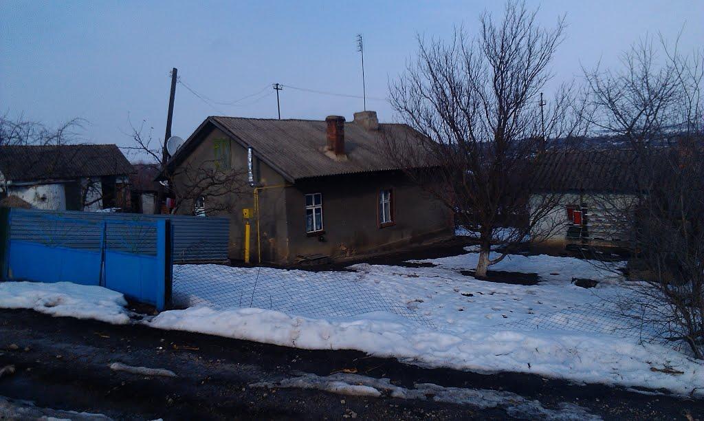 Подвір'ївка з panoramio.com - Podviryivka