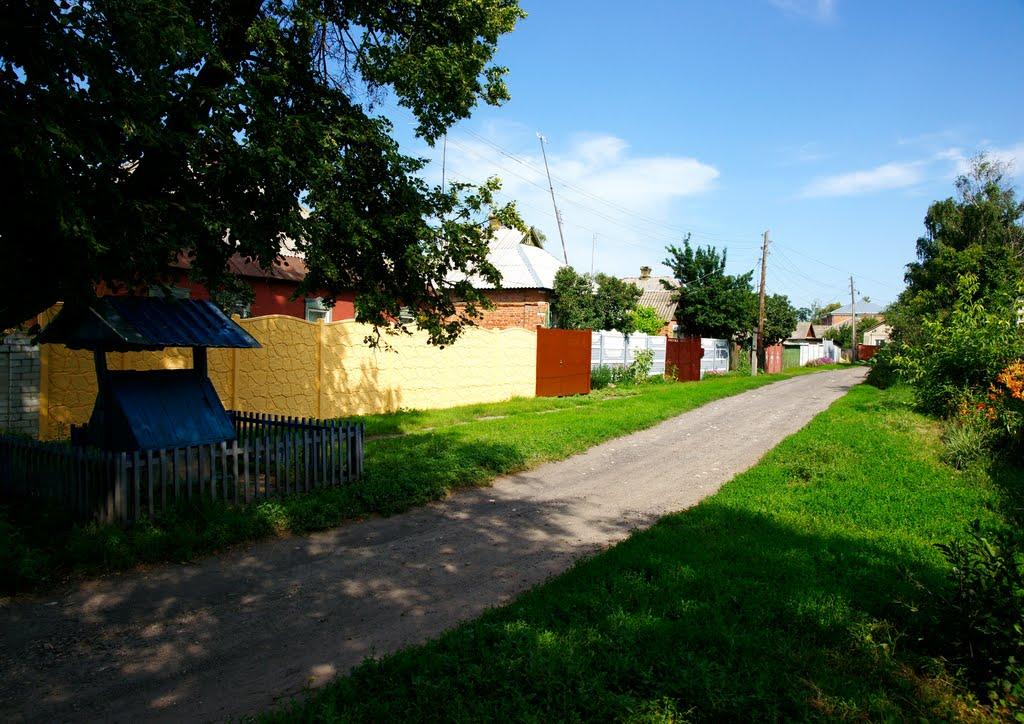 Козача Лопань з panoramio.com - Козача Лопань