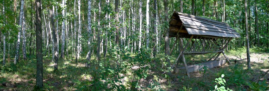 Бубни з panoramio.com - Бубни