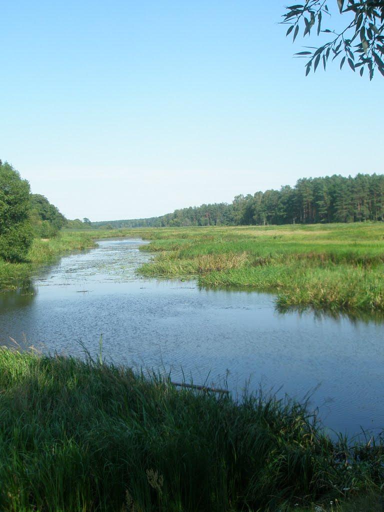 Ушиця з panoramio.com - Ушица